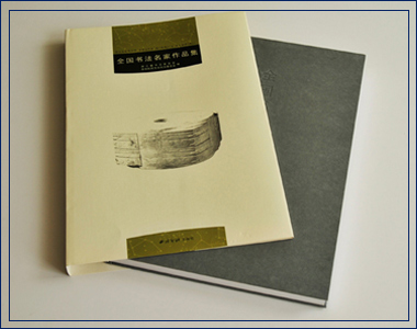 全國(guó)書法名家作品集 我襟懷古